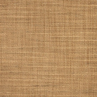 RM Coco Ocean Breeze Sand Dollar