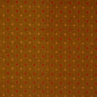 RM Coco Paddock FOREST