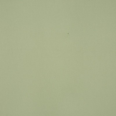 RM Coco Platinum CABBAGE