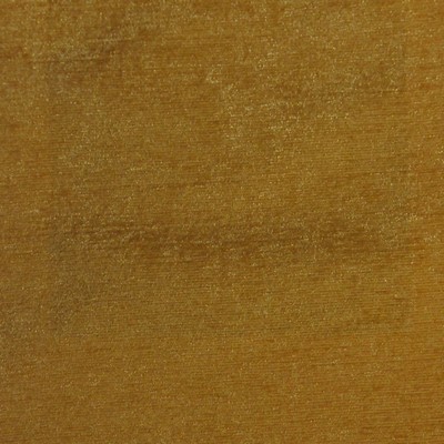 RM Coco Plush CHAMPAGNE