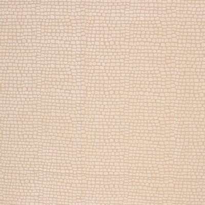 RM Coco Croc White Chocolate