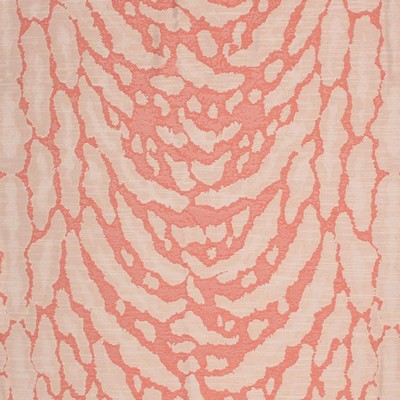 RM Coco Jungle Beat Roseberry