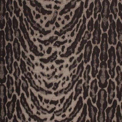 RM Coco Jungle Beat Carbon