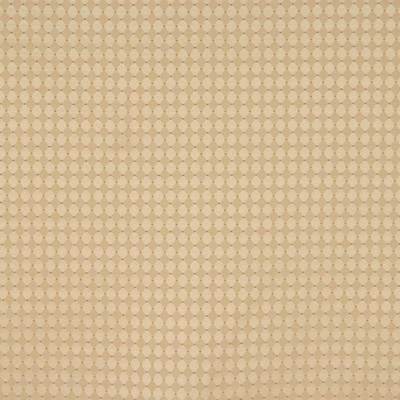 RM Coco Presidente Biscotti