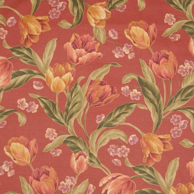 RM Coco PROVELONE ASHROSE