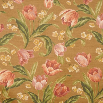 RM Coco Provelone MOCHA