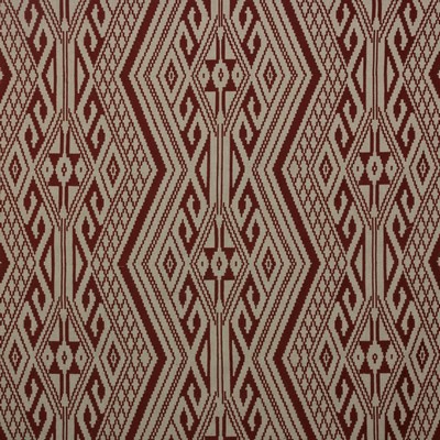 RM Coco Papago Canyon