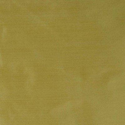 RM Coco Perception Palm