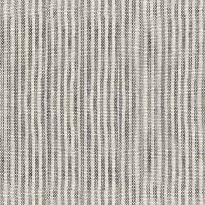 RM Coco Petite Pinstripe Wide-width Sheer Silver Oak