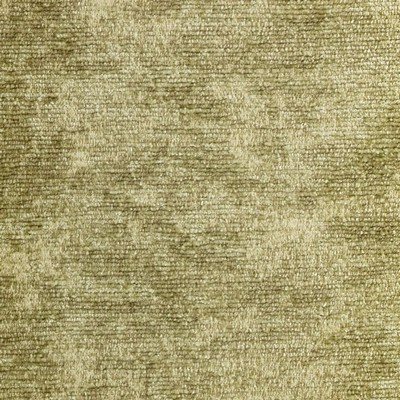 RM Coco Poitier Crypton Oregano