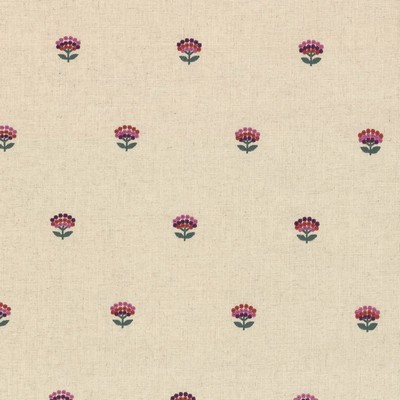 RM Coco Primrose Garden Begonia