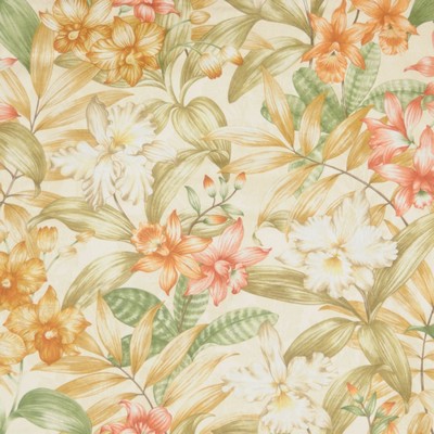 RM Coco QUESO APRICOT