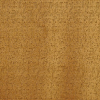 RM Coco Quixote BRONZE