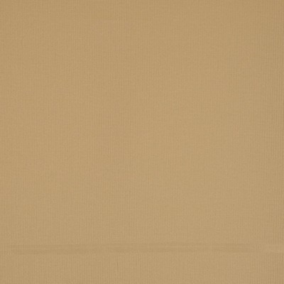 RM Coco Restricted Parchment