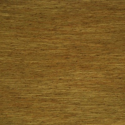 RM Coco Salvatore Camel