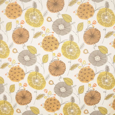 RM Coco Scout PAPYRUS