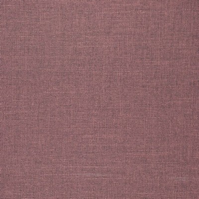 RM Coco Shasta Orchid