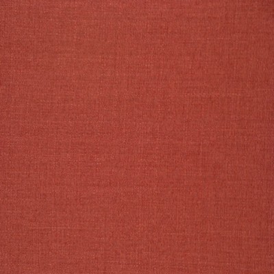 RM Coco Shasta Salmon