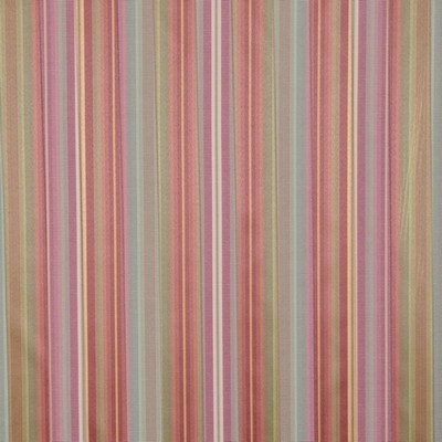 RM Coco Shrek NOCTURN