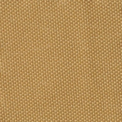 RM Coco Solidarity Maize