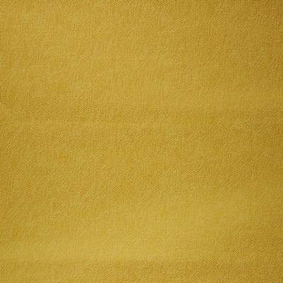 RM Coco Spokane Daffodil