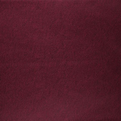 RM Coco Spokane Geranium