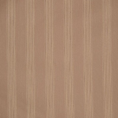 RM Coco Steppe Earth