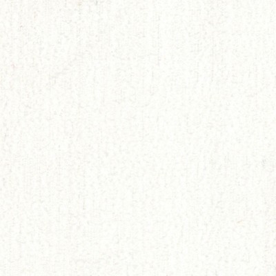 RM Coco Seychelles Coconut