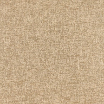 RM Coco Shimmer Latte