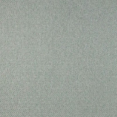 RM Coco Sibley Robins Egg