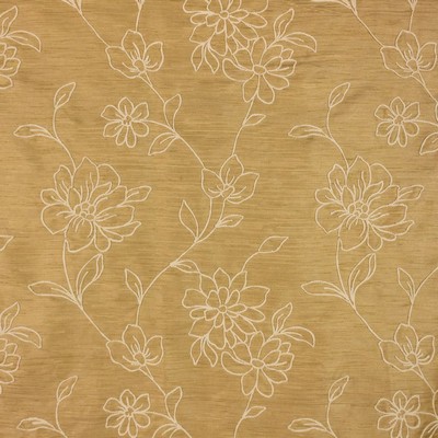 Spring Delight Pirates Gold RM Coco Spring Delight Pirates Gold