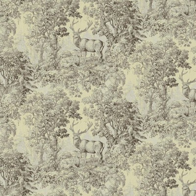 RM Coco Staghorn Toile Butter