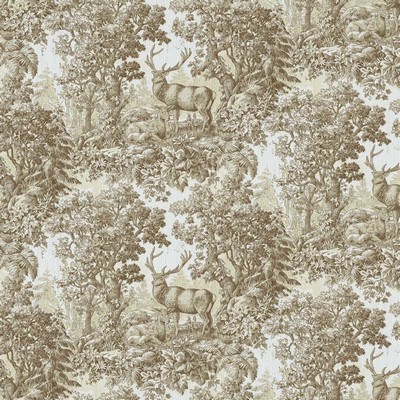 RM Coco Staghorn Toile Linen
