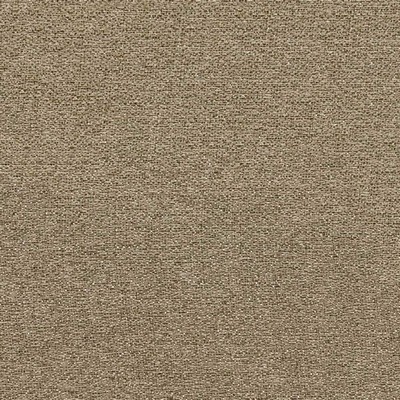 RM Coco Stardust Driftwood