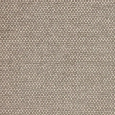 RM Coco Stockard Dove