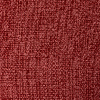 RM Coco Stonebriar Begonia