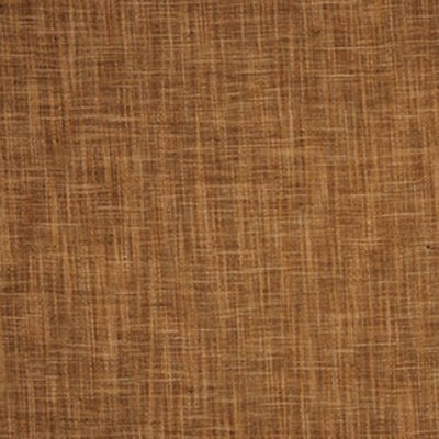 RM Coco Talbot SAFARI