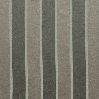 RM Coco Themis MUSHROOM