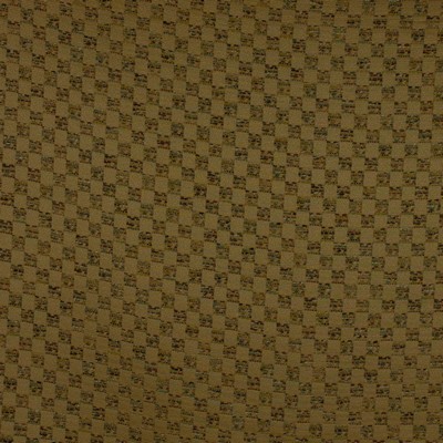 RM Coco Tigress NOUGAT