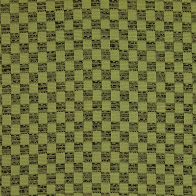 RM Coco Tigress SUNFLOWER