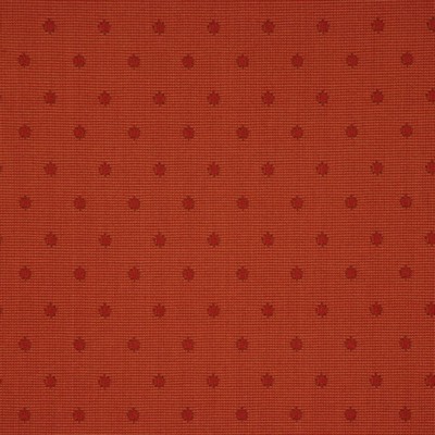 RM Coco TIRAMISU LATTE