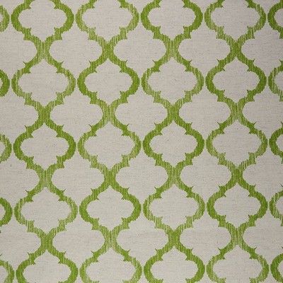 RM Coco Translations Palm