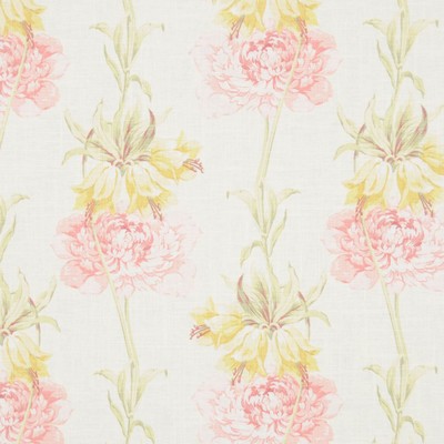 RM Coco Tripoli CAMEO