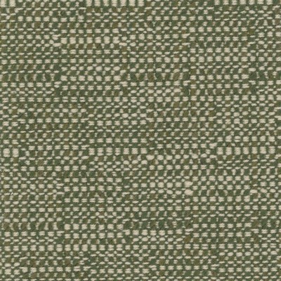 RM Coco Tahiti Evergreen