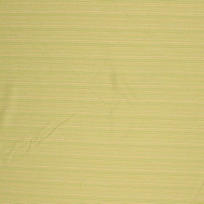 RM Coco Tidal Pool Io Palm