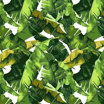 RM Coco Top Banana Key Lime