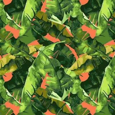 RM Coco Top Banana Mango