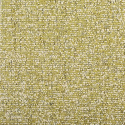 RM Coco Triple Crown - Crypton Fern