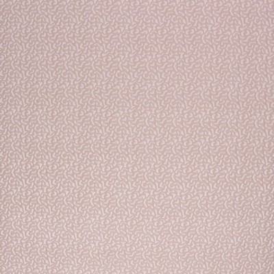 RM Coco Wildcat FAWN