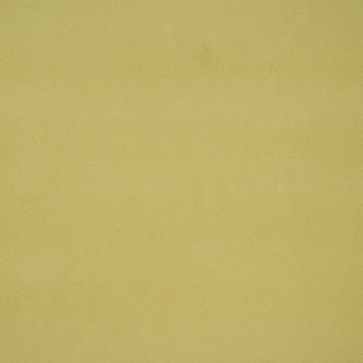 RM Coco Winks PARROT